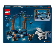 LEGO Harry Potter 76432 Zakazany Las: magiczne stworzenia - 1220611 - zdjęcie 5